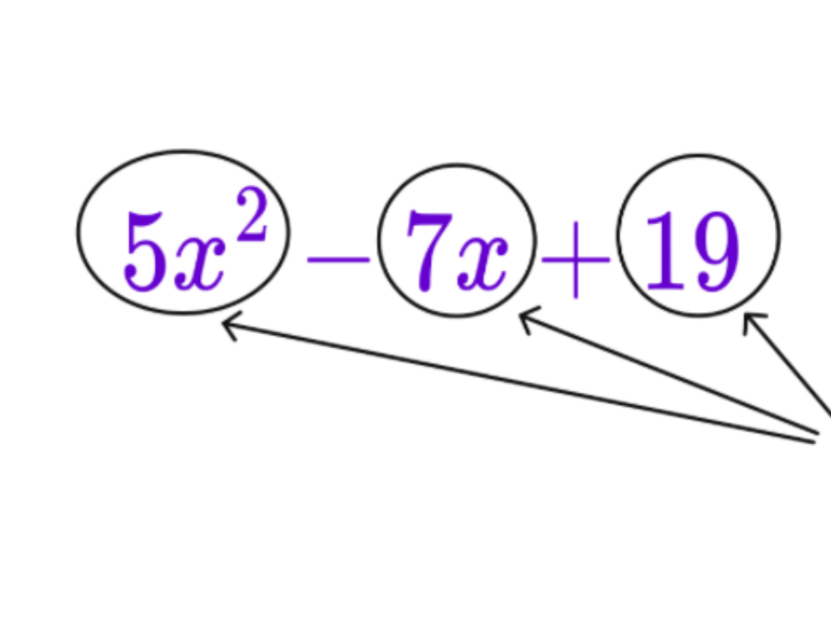 Illustration for 1-4A: Polynomials